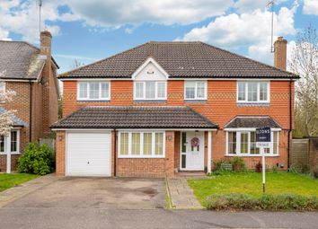 Thumbnail Detached house for sale in Charlock Way, Horsham