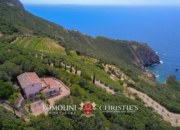 Thumbnail Farm for sale in Porto Santo Stefano, Tuscany, Italy