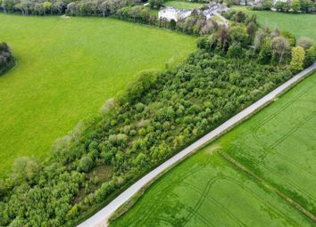 Thumbnail Farm for sale in Llawhaden, Narberth