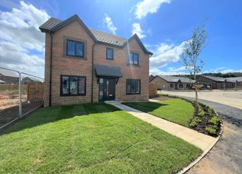 Thumbnail 4 bed detached house for sale in Plot 51, The Borrowby, Langley Park