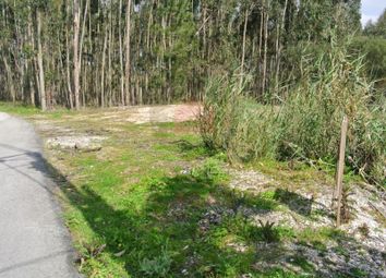 Thumbnail Land for sale in Alto Do Nobre, Nadadouro, Caldas Da Rainha