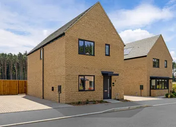 The Bookham, Number 31