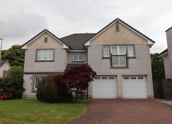 Thumbnail 5 bed detached house to rent in Hammerman Drive, Aberdeen