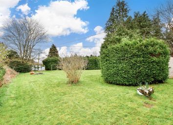Thumbnail Detached bungalow for sale in Habin Hill, Rogate, Petersfield, West Sussex