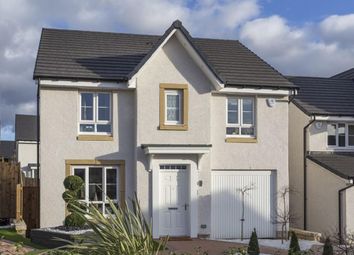 Thumbnail 4 bed detached house for sale in "Fernie" at Clippens Drive, Edinburgh
