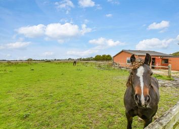 Thumbnail 3 bed detached bungalow for sale in Dungeness Road, Lydd, Romney Marsh, Kent