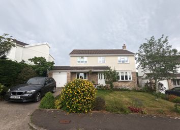 Thumbnail 4 bed detached house to rent in Porlock Drive, Sully, Penarth