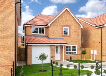 Thumbnail 3 bedroom detached house for sale in "Denby" at Blenheim Avenue, Brough