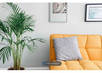 Room to rent in Coburg Place, Torquay TQ2