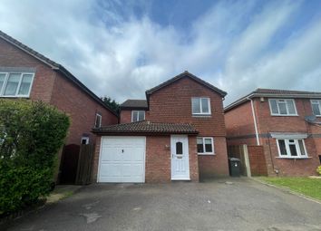 Ipswich - 4 bed detached house to rent