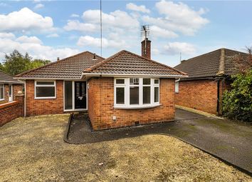 Thumbnail 3 bed bungalow to rent in Cherry Tree Road, Wales, Sheffield