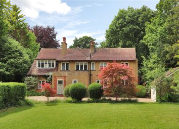 Thumbnail 5 bed detached house for sale in Hollow Lane, Dormansland, Lingfield, Surrey