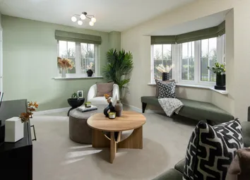 Showhome Photography