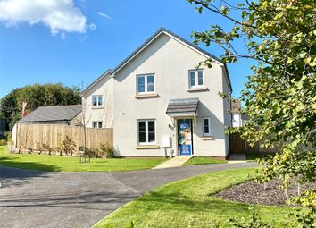 Thumbnail 3 bed detached house for sale in Primrose Meadows, Bradworthy