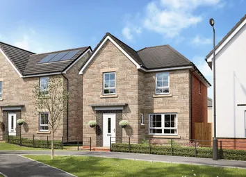 Illustrative Image Of The Kingsley At Afon Las