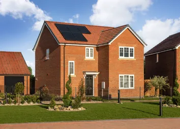 Wootton-Hazel-External