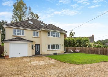 Thumbnail Detached house for sale in Magor Road, Langstone, Newport