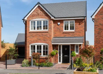 Showhome Photography