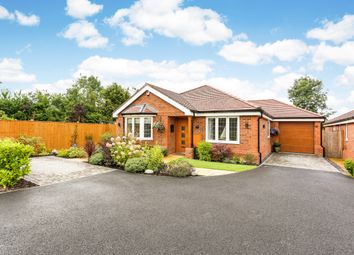 Thumbnail 3 bedroom bungalow to rent in Lovel Road, Winkfield, Windsor