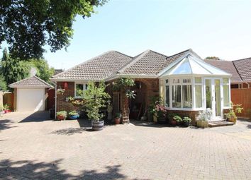 Find 3 Bedroom Houses For Sale In New Forest Zoopla