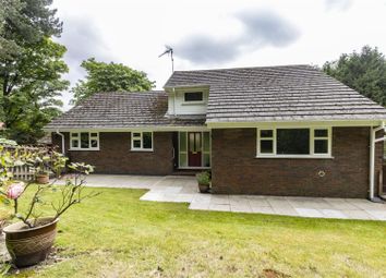 Thumbnail Detached house for sale in Old Road, Brampton, Chesterfield