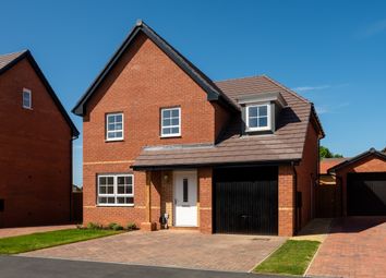Thumbnail 4 bedroom detached house for sale in "Acorn" at Sulgrave Street, Barton Seagrave, Kettering