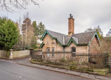 Thumbnail Detached bungalow for sale in Hope Park Lodge, Balmoral Road, Blairgowrie
