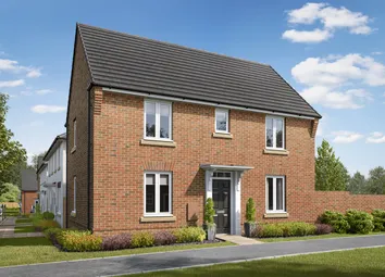 Hadley cgi