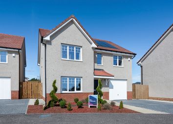 Thumbnail 4 bed detached house for sale in "The Tambrook" at St. Martin Crescent, Strathmartine, Dundee