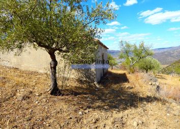 Thumbnail Land for sale in 54.000m2 With Olive Grove, House In Ruin And Douro River View, Portugal