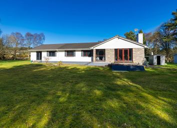 Thumbnail Bungalow for sale in Invergordon, Highlands