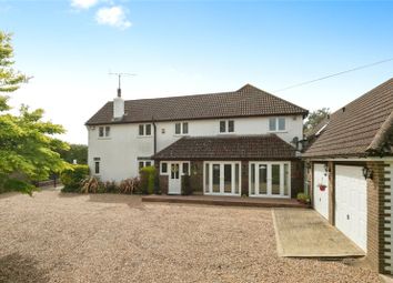 Thumbnail Detached house for sale in Freezeland Lane, Bexhill-On-Sea, East Sussex