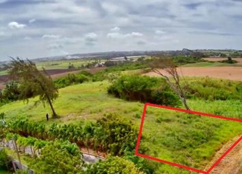 Thumbnail Land for sale in Saint Philip, Barbados