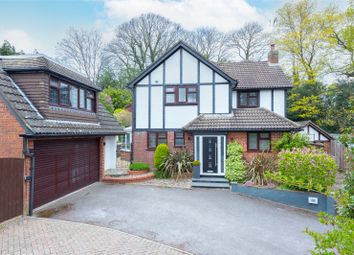 Thumbnail Detached house for sale in Penshurst Rise, Frimley, Camberley, Surrey
