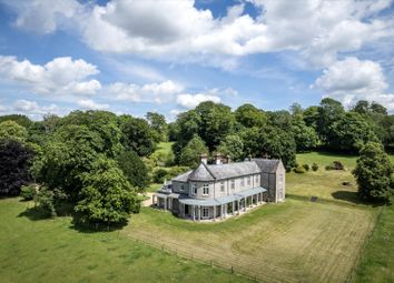 Thumbnail Detached house for sale in West Street, Hambledon, Hampshire