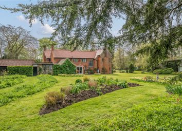Thumbnail Detached house for sale in Bury Road, Lackford, Bury St. Edmunds, Suffolk
