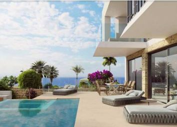 Thumbnail 3 bed detached house for sale in Peyia, Paphos, Cyprus