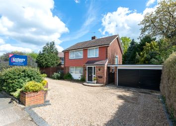 Thumbnail Detached house for sale in Ormonde Avenue, Orpington, Kent