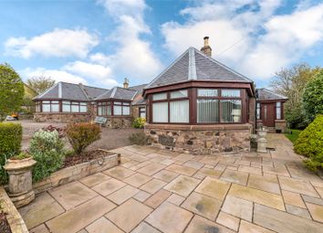 Thumbnail Detached house to rent in Lower Whitehills, Lochside Road, St. Cyrus, Montrose