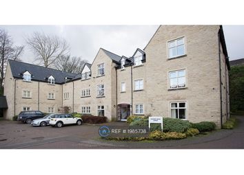 Thumbnail 2 bed flat to rent in Chelsea Rise, Sheffield