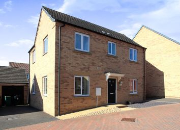 Thumbnail Detached house for sale in Roma Road, Peterborough