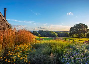 Thumbnail Barn conversion for sale in Smithwood Common, Cranleigh, Surrey