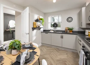 Alder Kitchen
