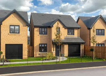 Showhome Photography