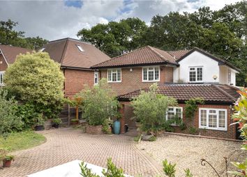Thumbnail Detached house to rent in Henley Drive, Kingston Upon Thames