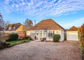 Thumbnail 3 bed bungalow for sale in Church Lane, Westfield