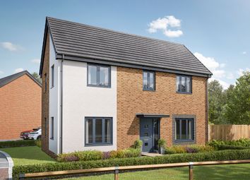 Property listing in Norwich, Norfolk