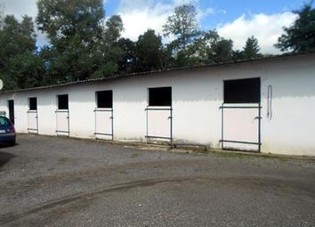Thumbnail Equestrian property for sale in Le-Val-St-Pere, Manche, France