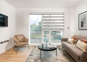 3 Bed 2 Bath To Rent