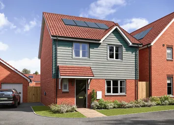 Mylne CGI